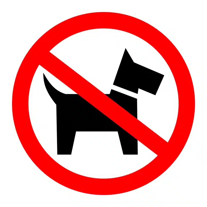 No dogs Football Pitch